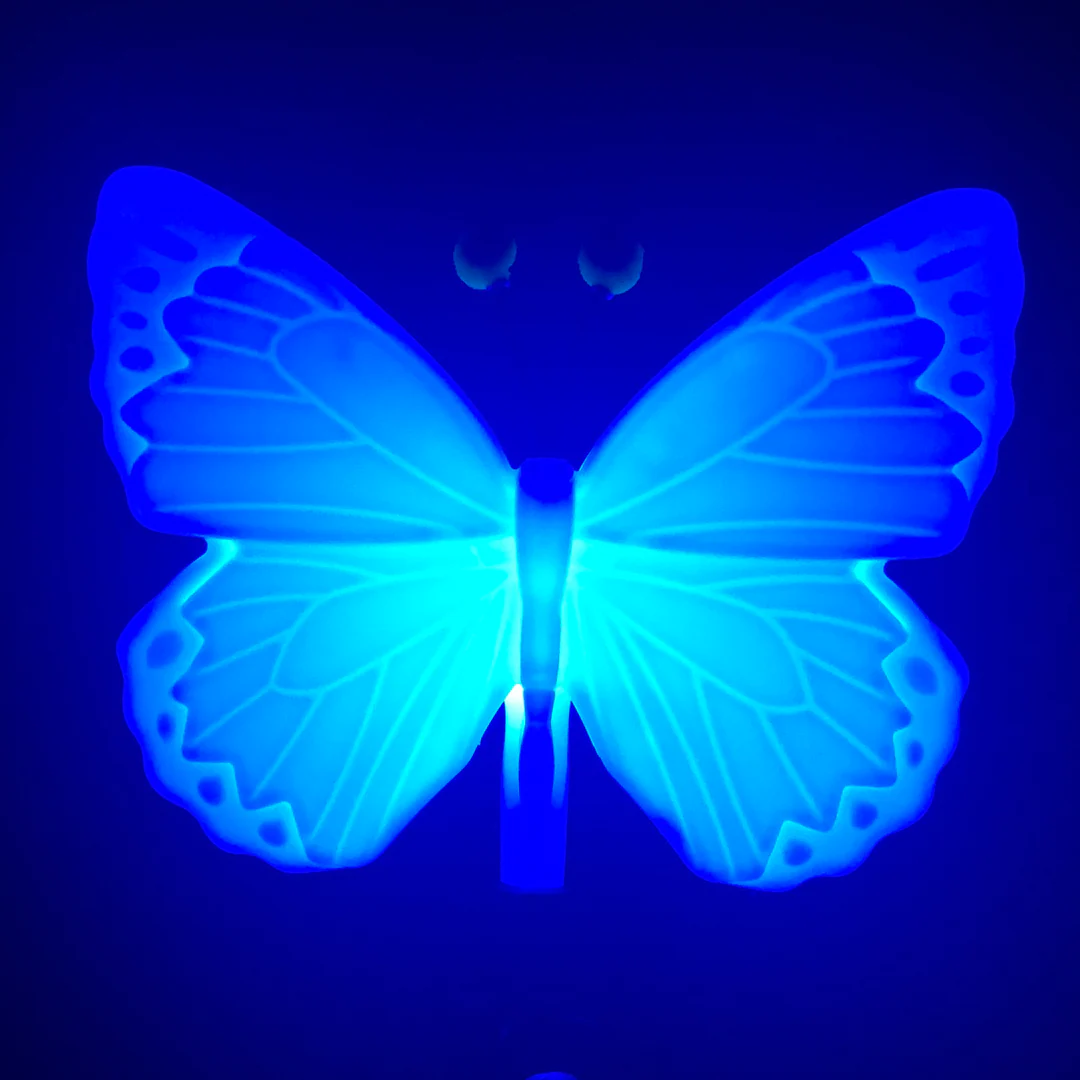 Eternal Light Butterfly - Image 6